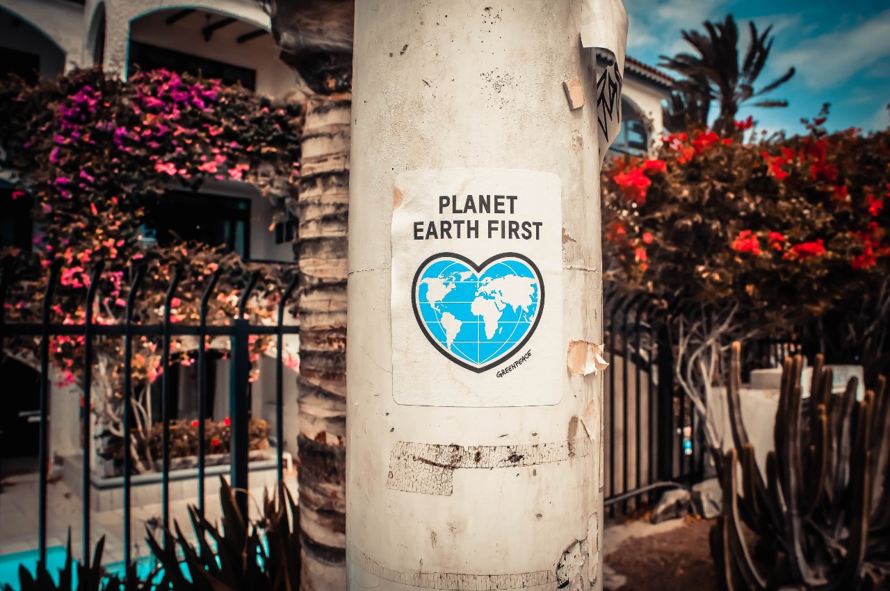 How to be earth-conscious in your job search